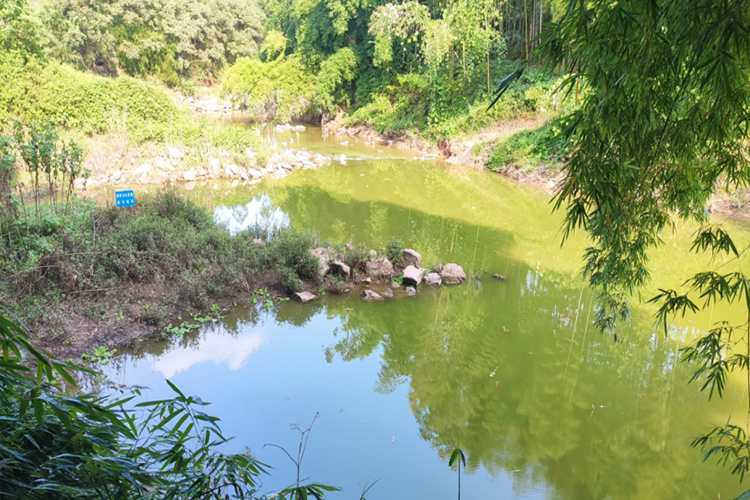璧山区福里河2km项目