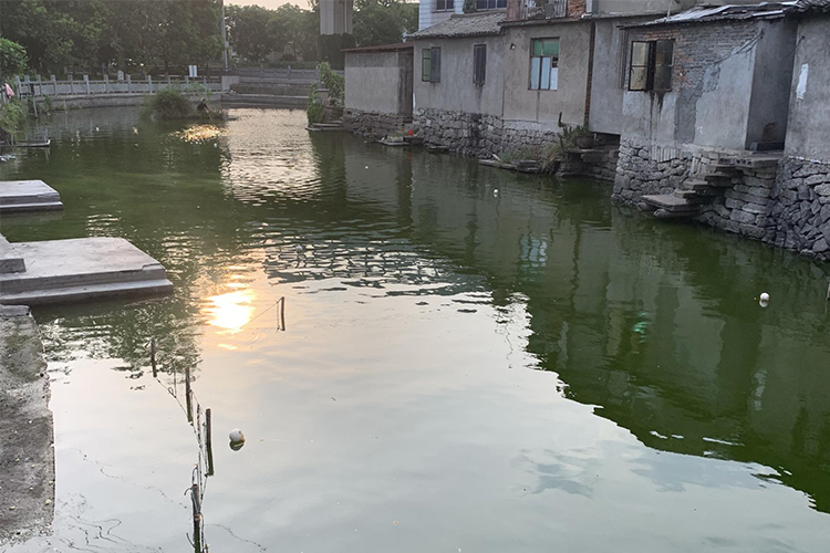 宁波洪渡新村某河道治理项目
