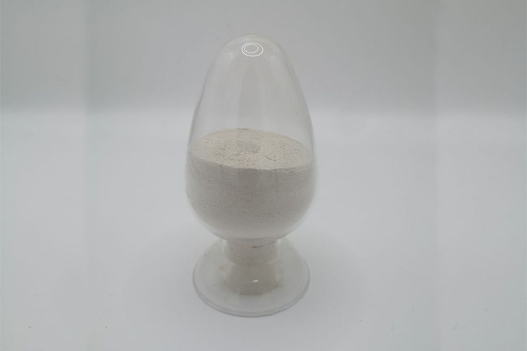 水解酸化菌